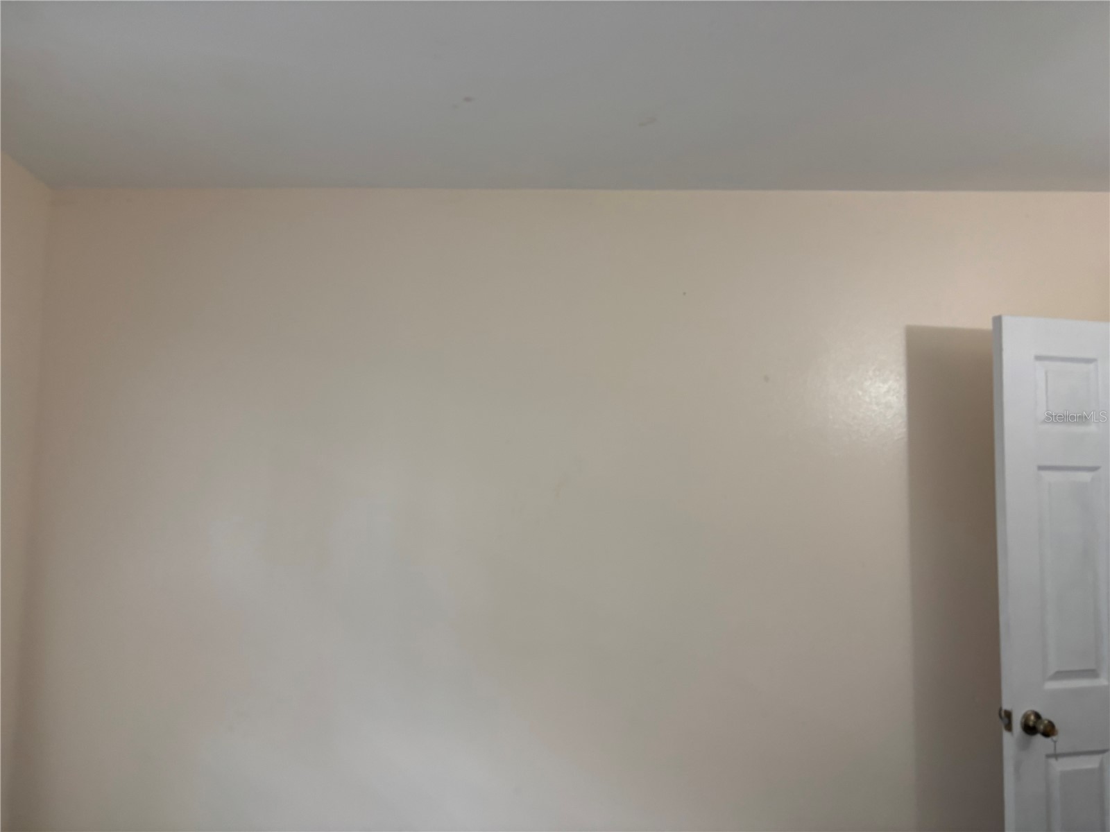 1320 Larsen Ln Tampa FL 33619 TB8504282 image10
