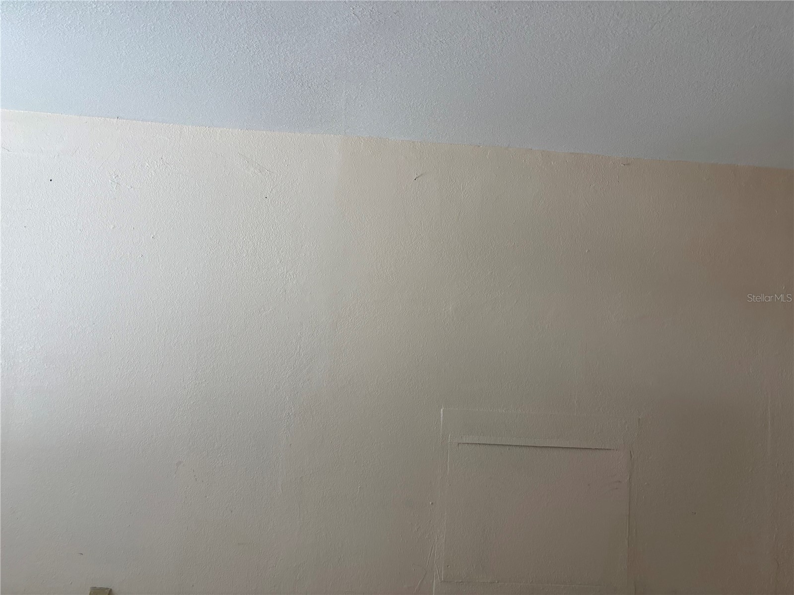 1320 Larsen Ln Tampa FL 33619 TB8504282 image14