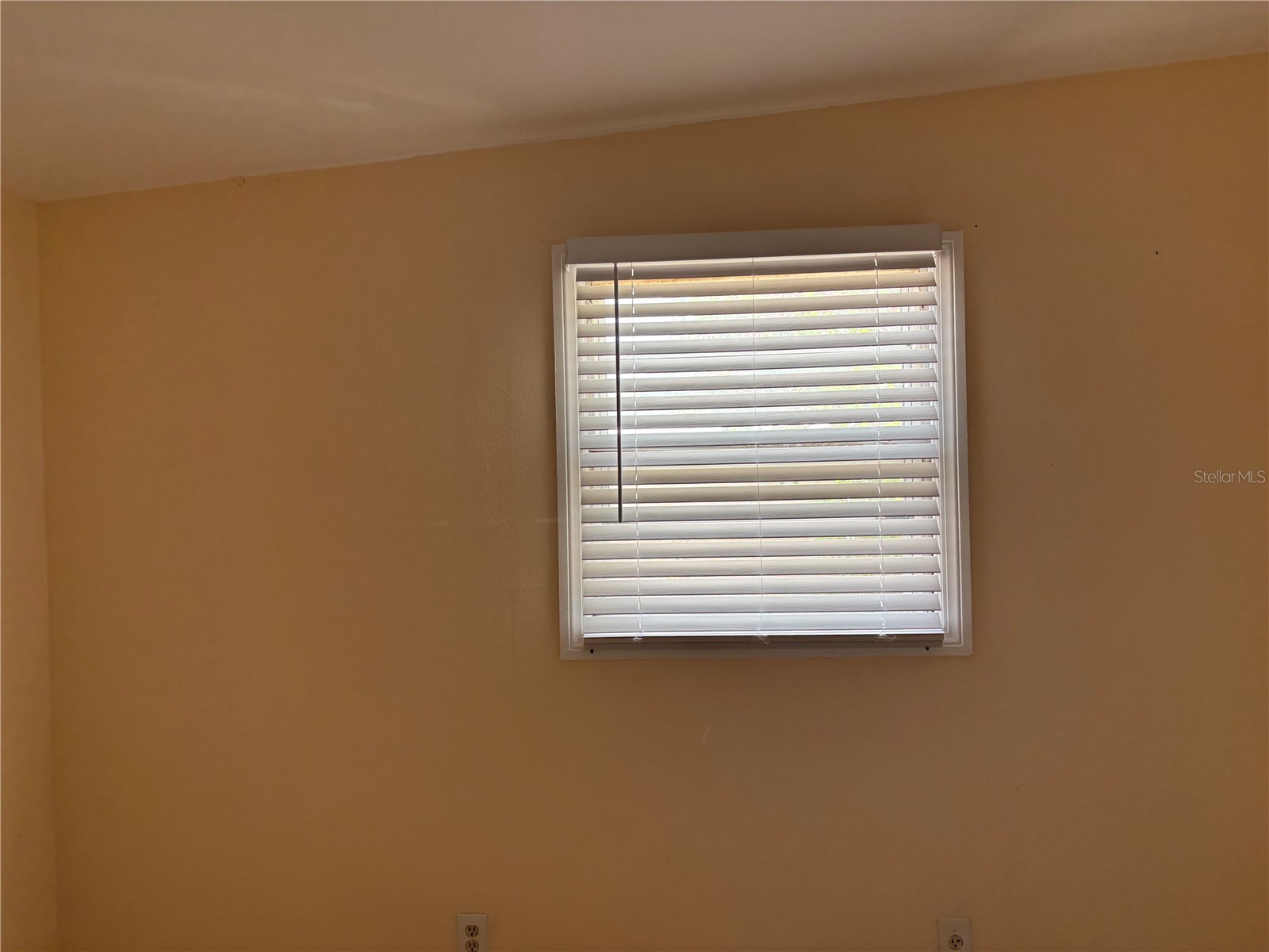 1320 Larsen Ln Tampa FL 33619 TB8504282 image2