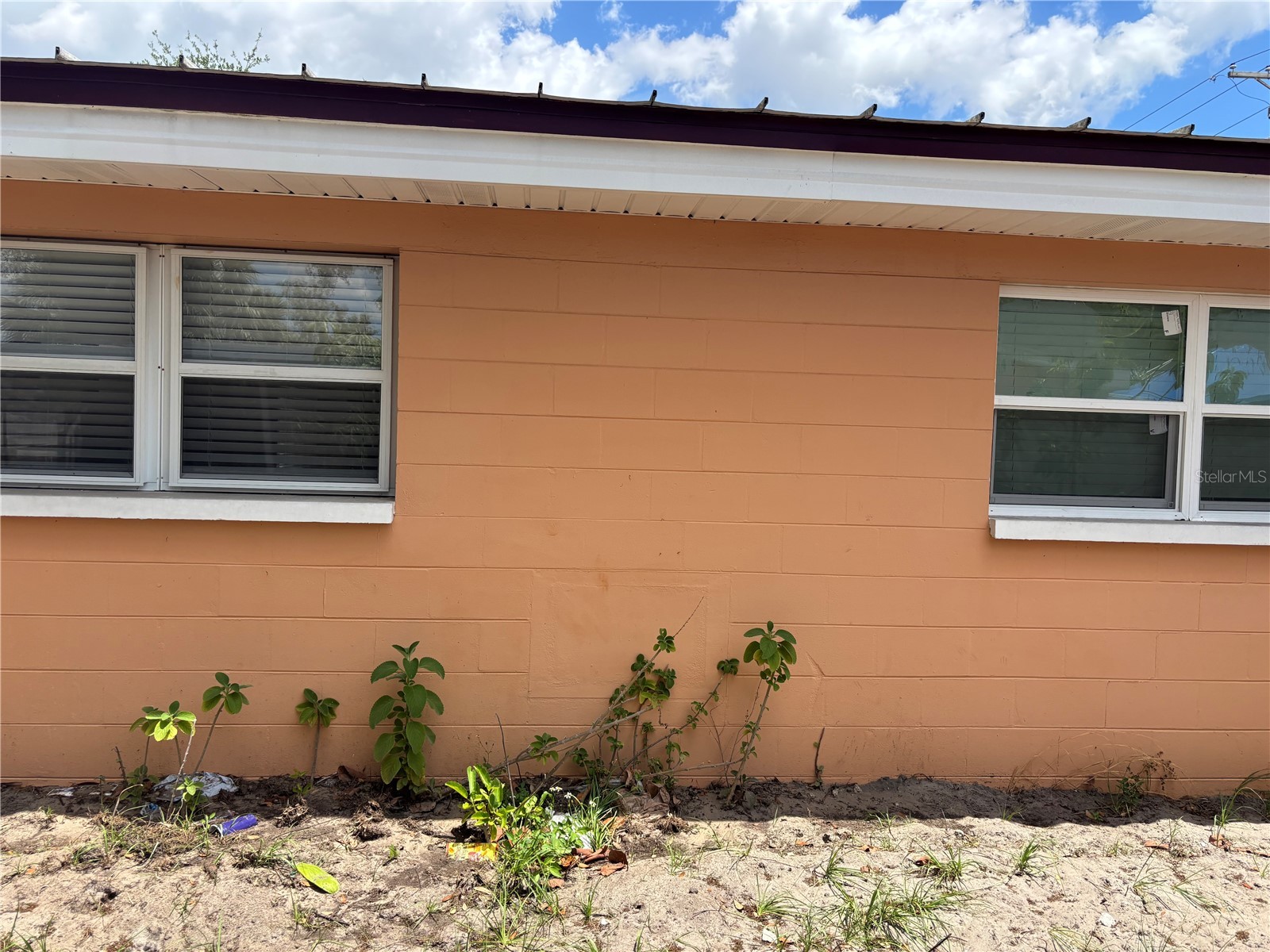 1320 Larsen Ln Tampa FL 33619 TB8504282 image3