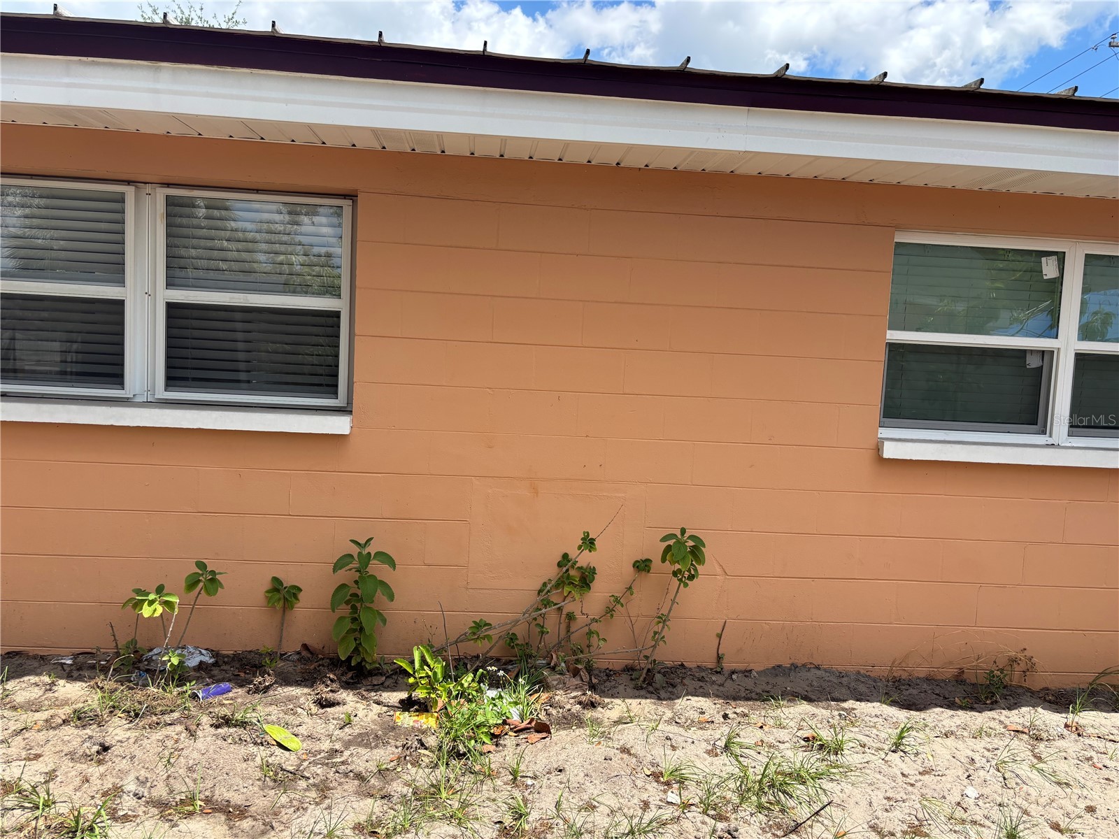 1320 Larsen Ln Tampa FL 33619 TB8504282 image4