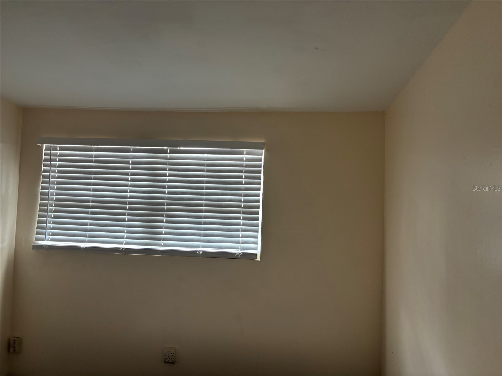 1320 Larsen Ln Tampa FL 33619 TB8504282 image9