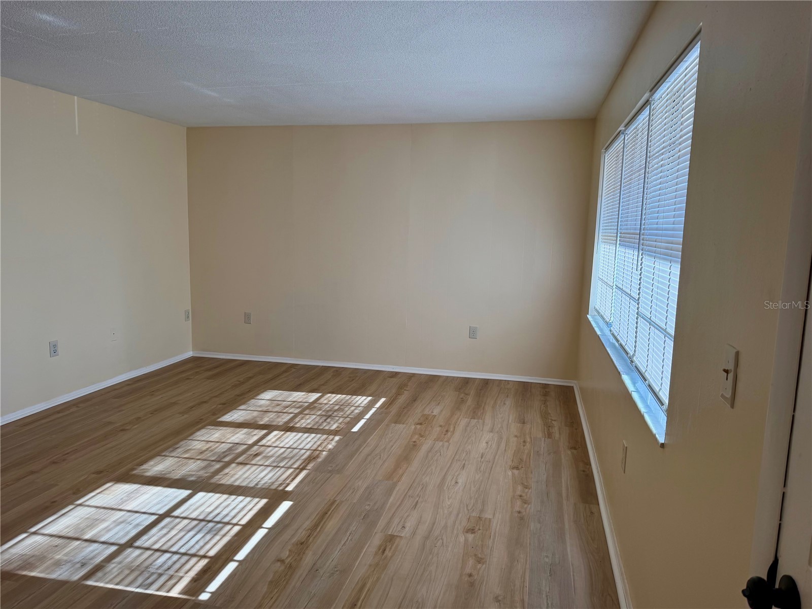 1320 Moreland Drive #12 Clearwater FL 33764 TB8498845 image5