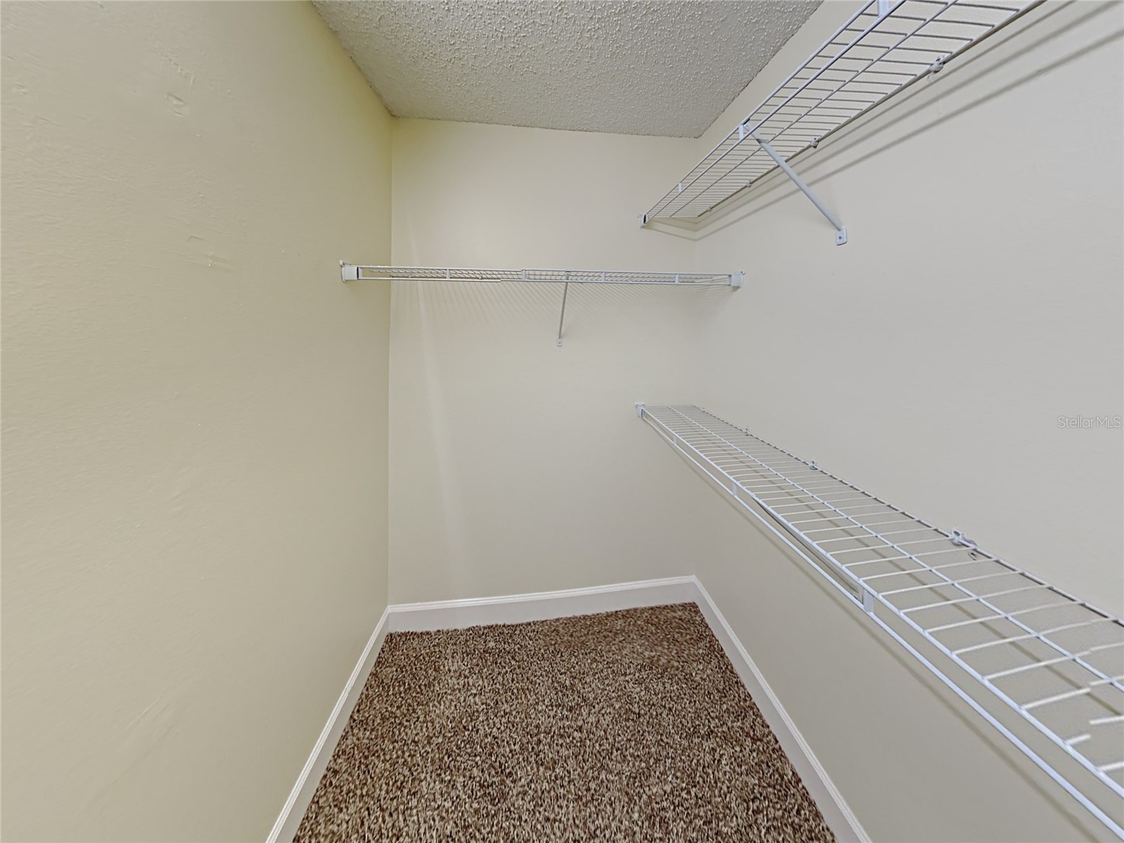 1320 Noell Boulevard Palm Harbor FL 34683 C7527266 image17