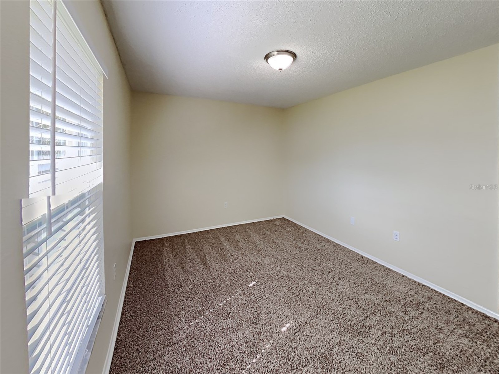 1320 Noell Boulevard Palm Harbor FL 34683 C7527266 image18
