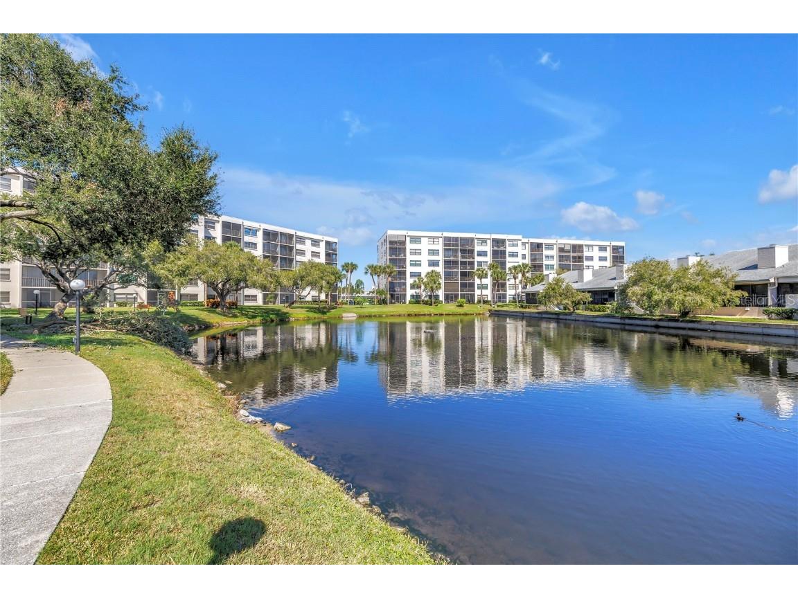 1320 Pasadena Avenue S #203 South Pasadena FL 33707 TB8445377 image36