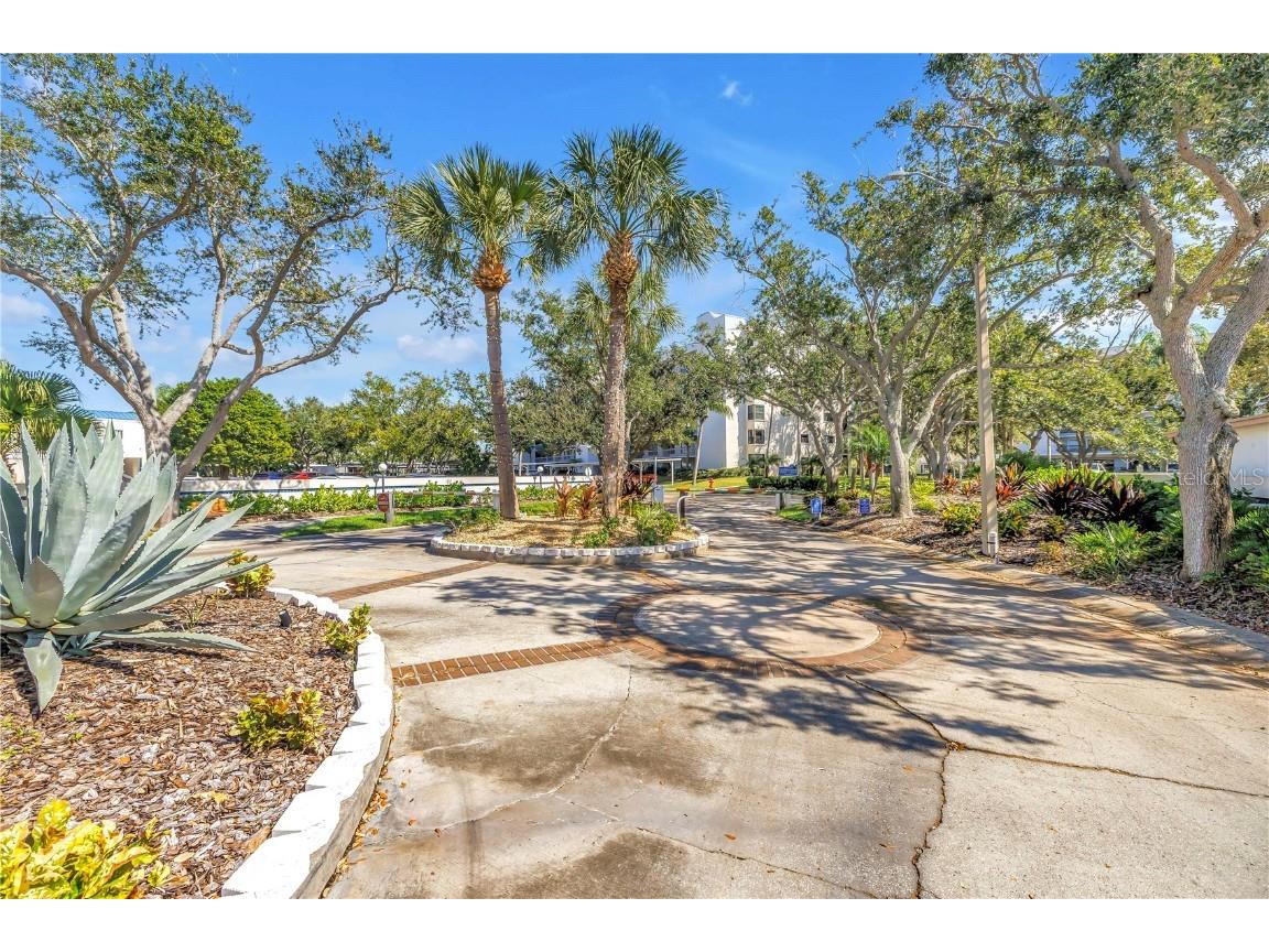 1320 Pasadena Avenue S #203 South Pasadena FL 33707 TB8445377 image58