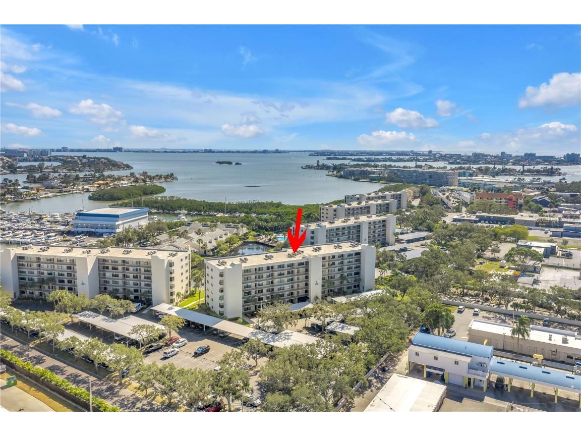 1320 Pasadena Avenue S #203 South Pasadena FL 33707 TB8445377 image67