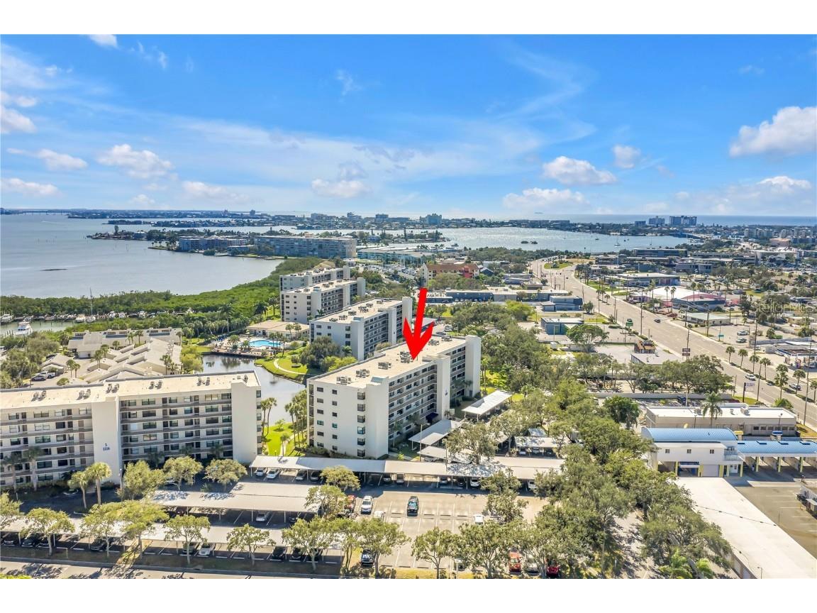 1320 Pasadena Avenue S #203 South Pasadena FL 33707 TB8445377 image68