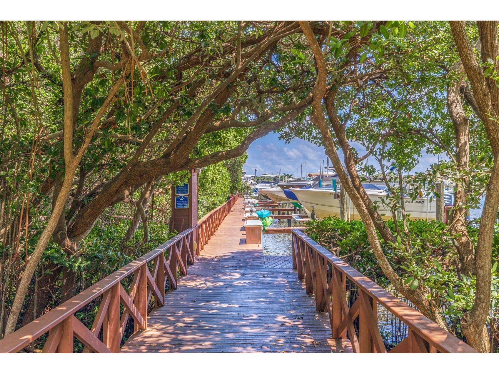 1320 Pasadena Avenue S #605 South Pasadena FL 33707 - BOCA CIEGA BAY TB8476311 image29