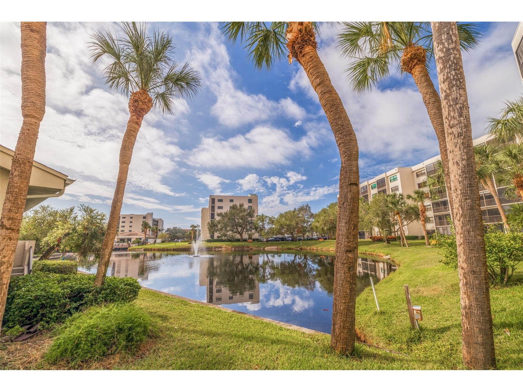 1320 Pasadena Avenue S #605 South Pasadena FL 33707 - BOCA CIEGA BAY TB8476311 image39