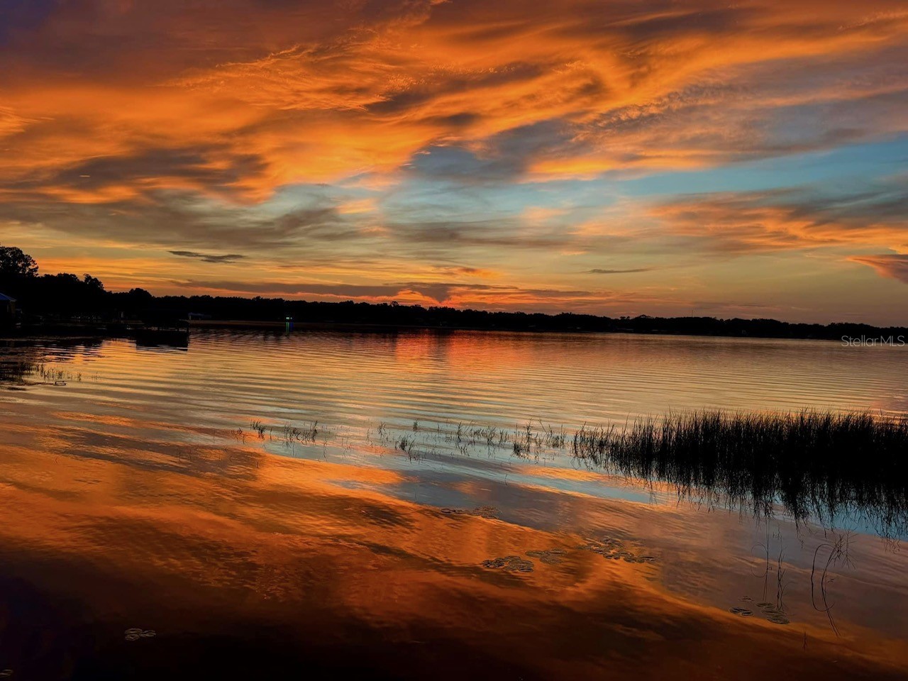 13200 E Highway 25 Ocklawaha FL 32179 - LAKE WEIR OM727638 image1