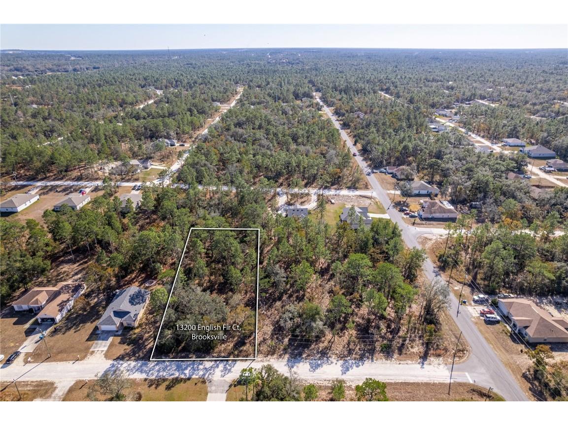 13200 English Fir Court Brooksville FL 34614 W7870656 image1