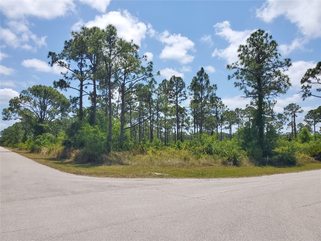 13200 Minnesota Avenue Punta Gorda FL 33955 C7492027 image1