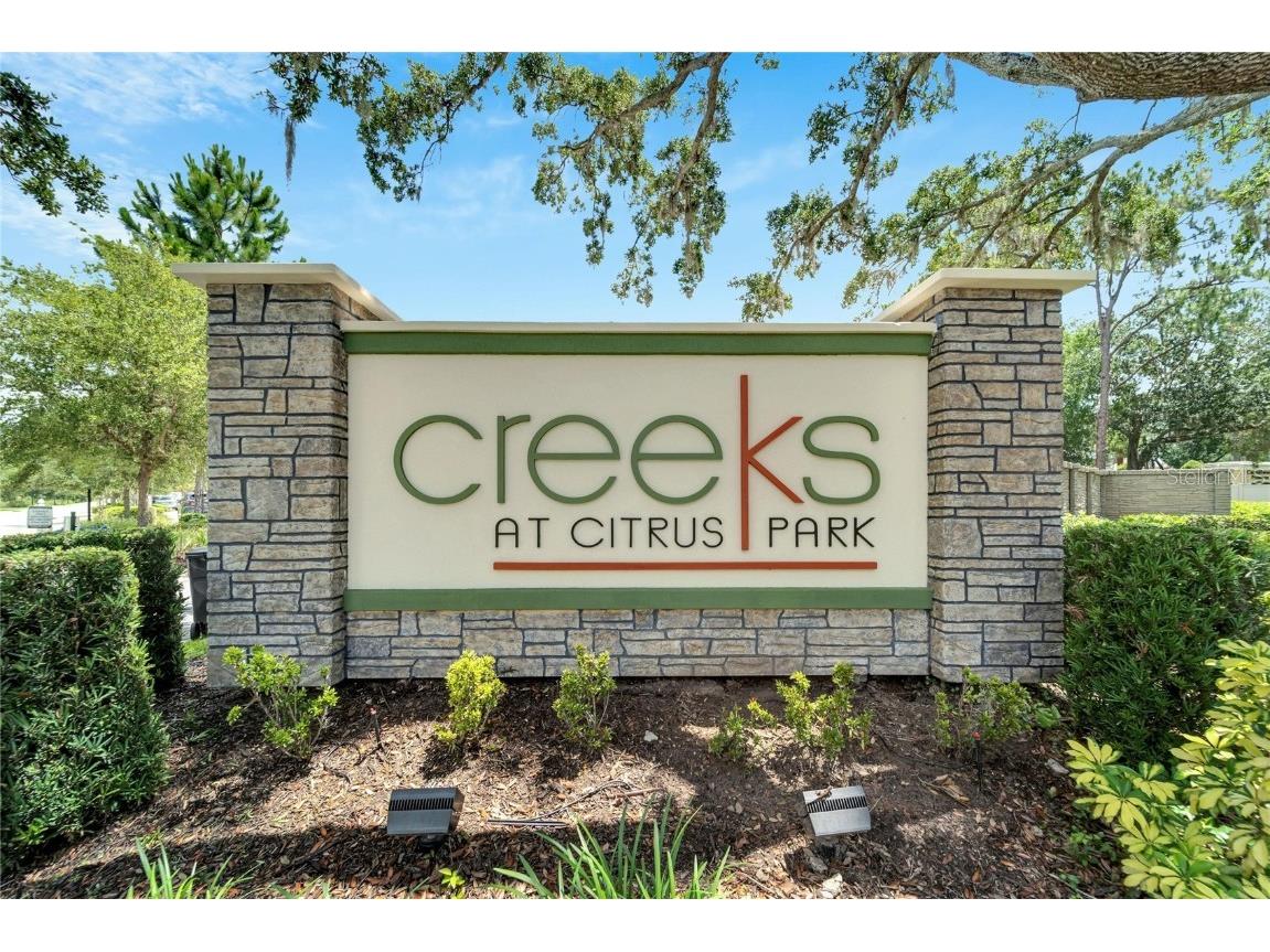 13201 Canopy Creek Drive Tampa FL 33625 T3440945 image1