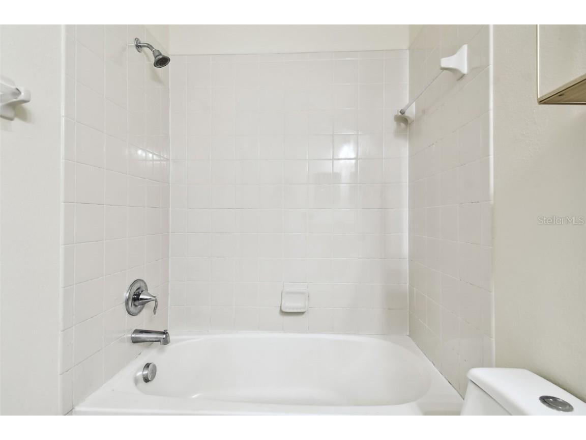 13201 Wellington Hills Drive Riverview FL 33579 TB8384251 image51