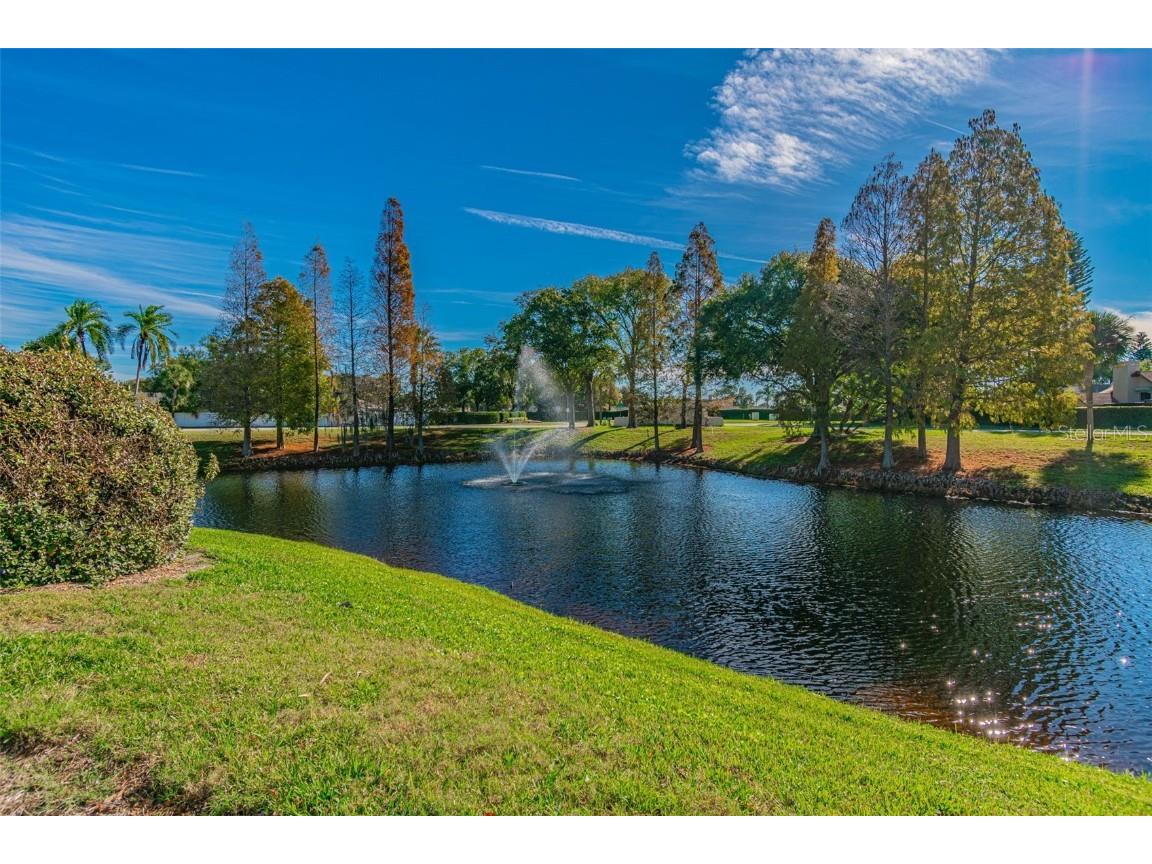 13201 Wellington Hills Drive Riverview FL 33579 TB8384251 image96