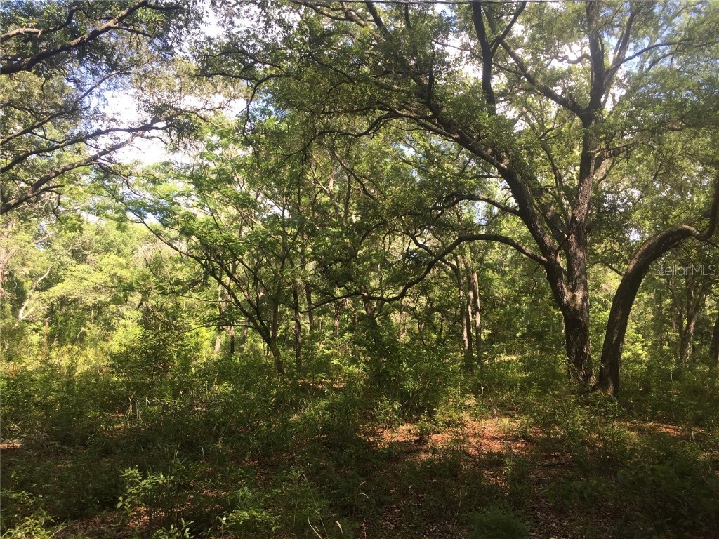 13202 SW 154th Street Archer FL 32618 GC515746 image1