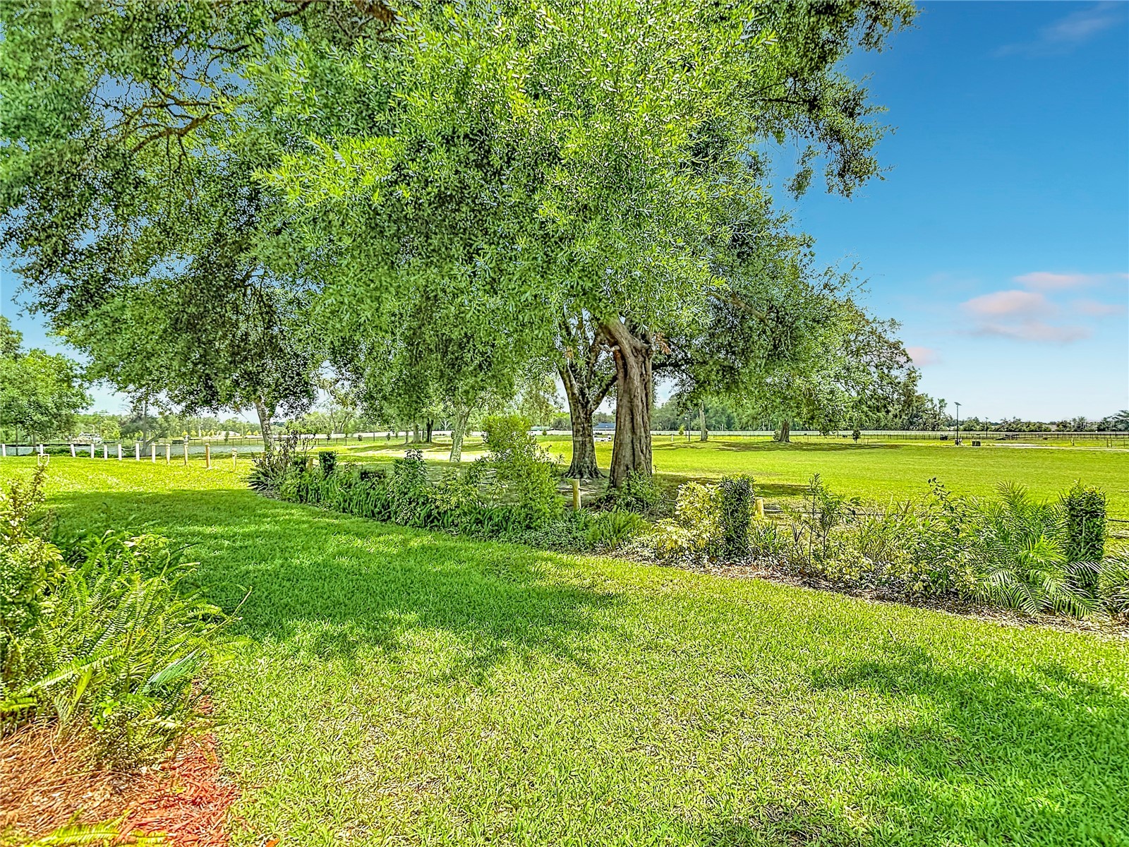 13203 Golf Ridge Place Hudson FL 34669 O6418528 image64