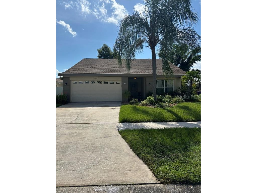 13203 Silvercreek Drive Riverview FL 33579 T3546718 image1