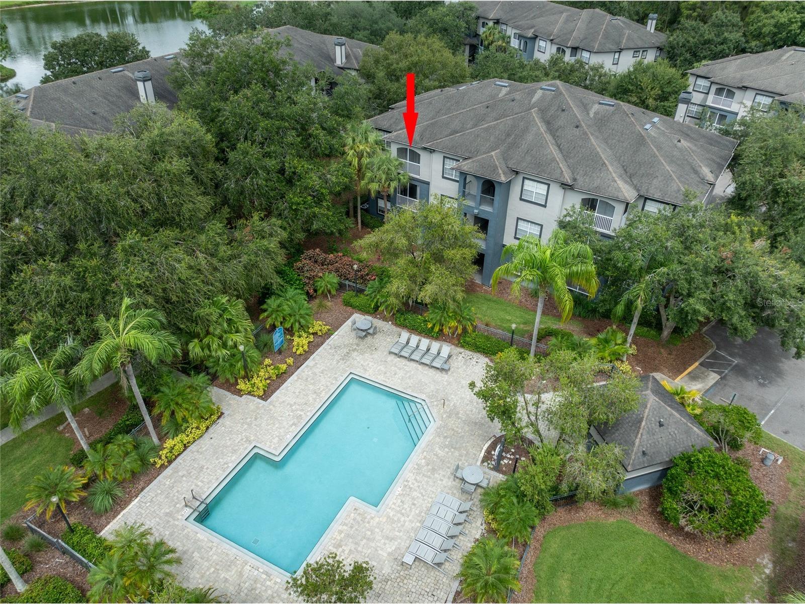 13204 Sanctuary Cove Drive #303 Temple Terrace FL 33637 TB8427796 image1