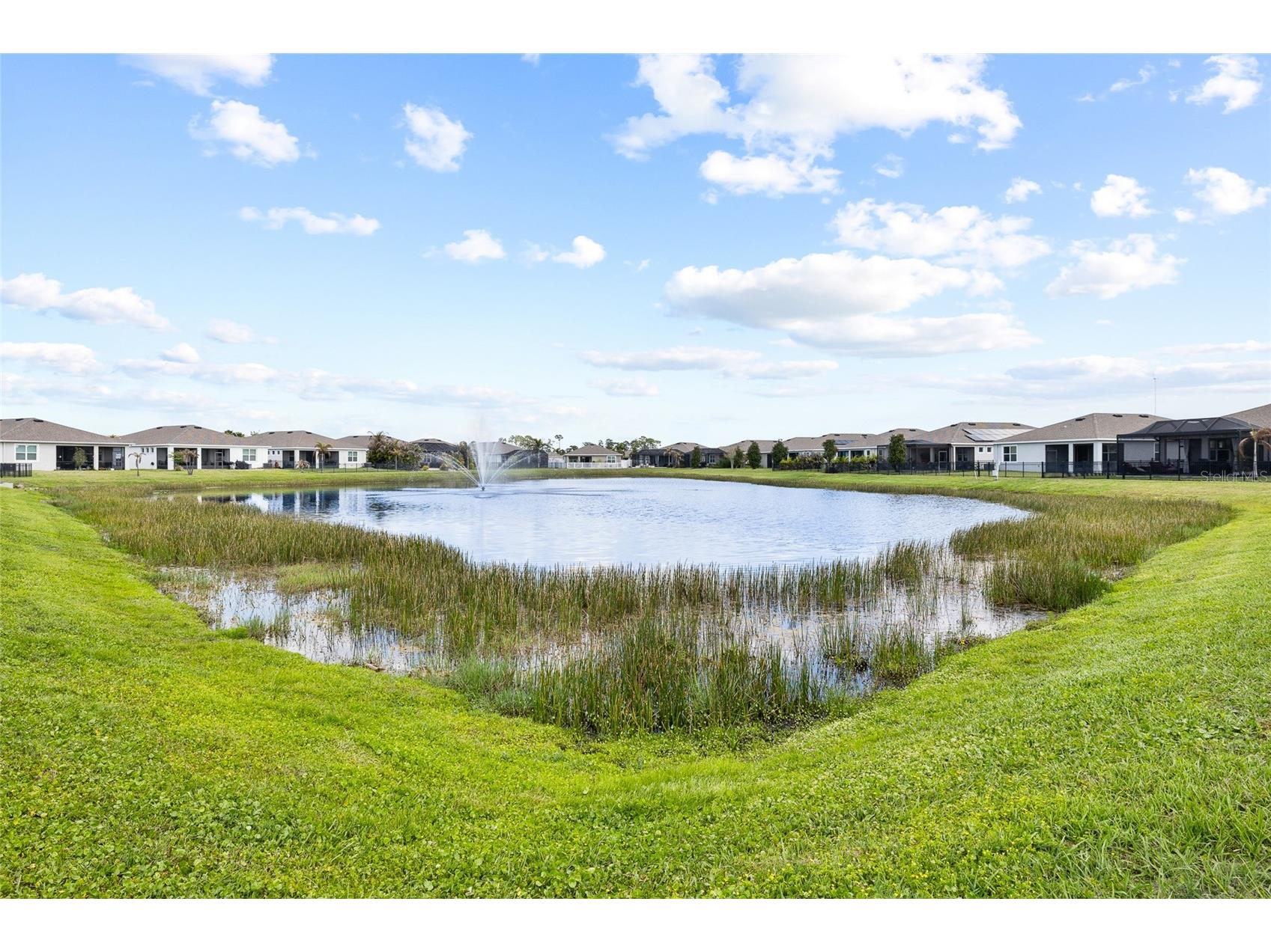 13204 Waterleaf Garden Circle Riverview FL 33579 TB8491836 image31