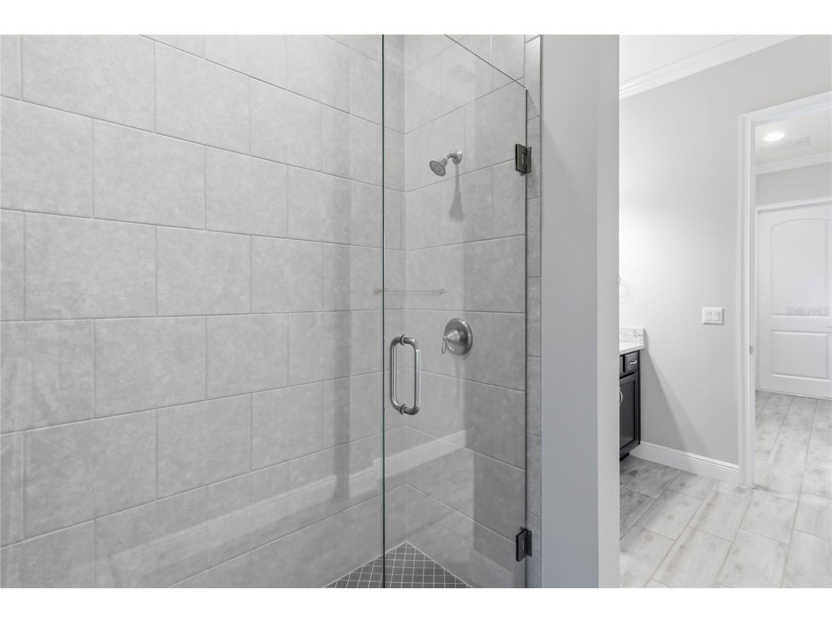 13205 Bromborough Drive Orlando FL 32832 S5150518 image18