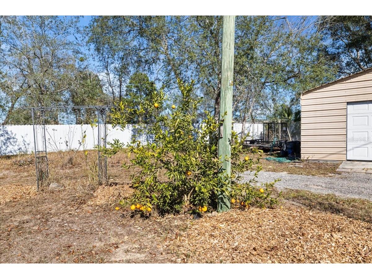 13205 Star Road Brooksville FL 34613 TB8466601 image36