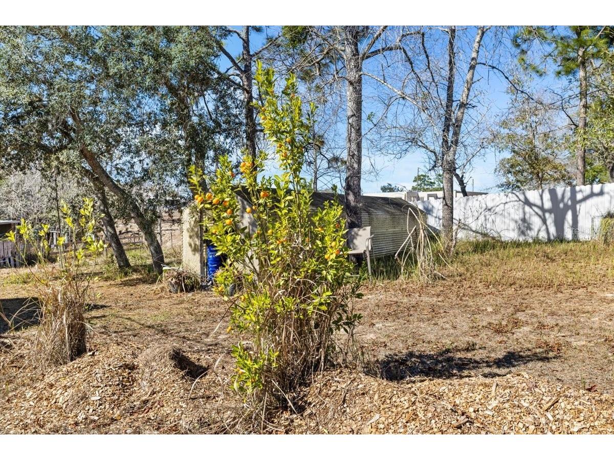 13205 Star Road Brooksville FL 34613 TB8466601 image37