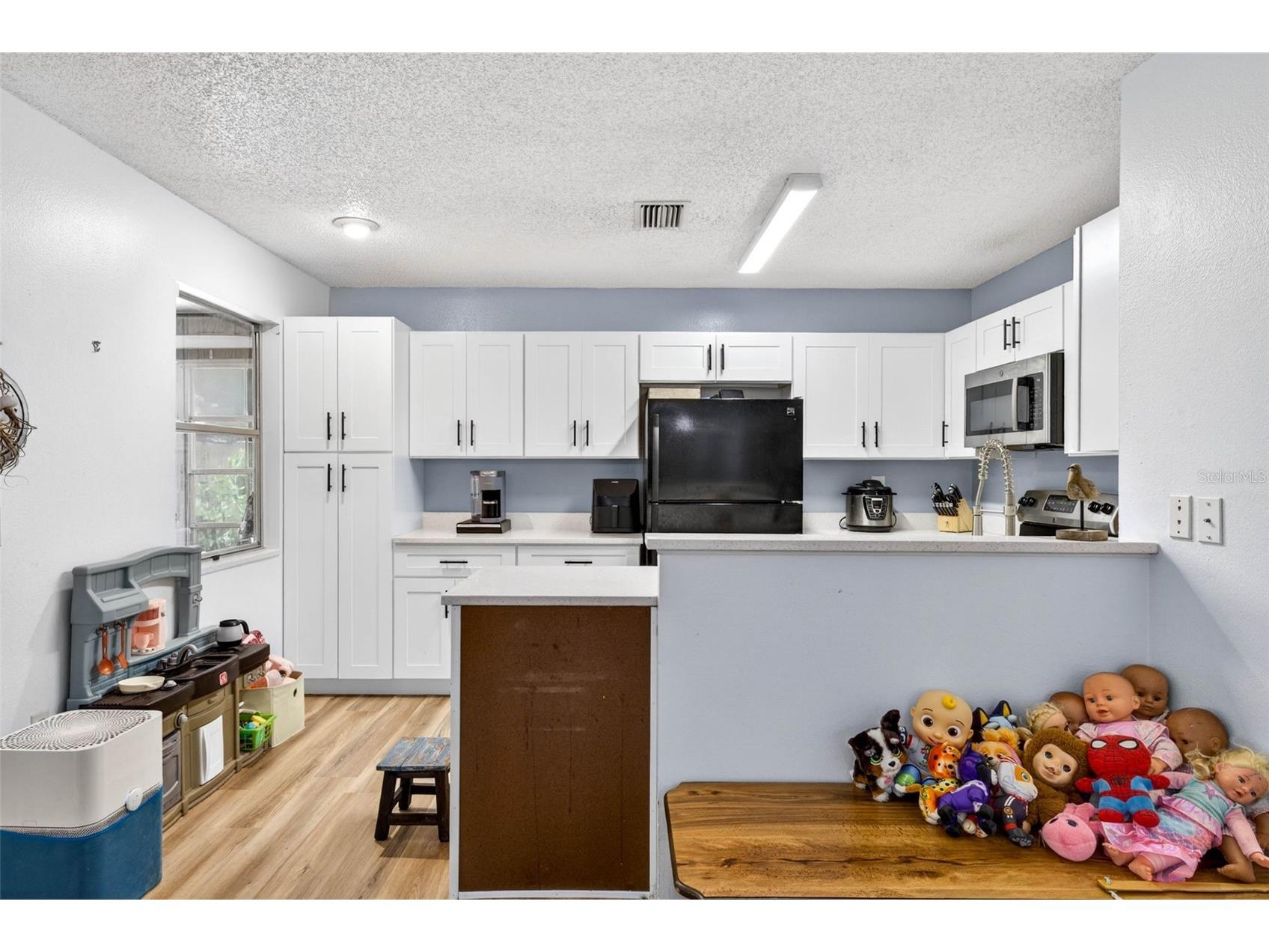 13205 Wagner Drive Hudson FL 34667 TB8504286 image13
