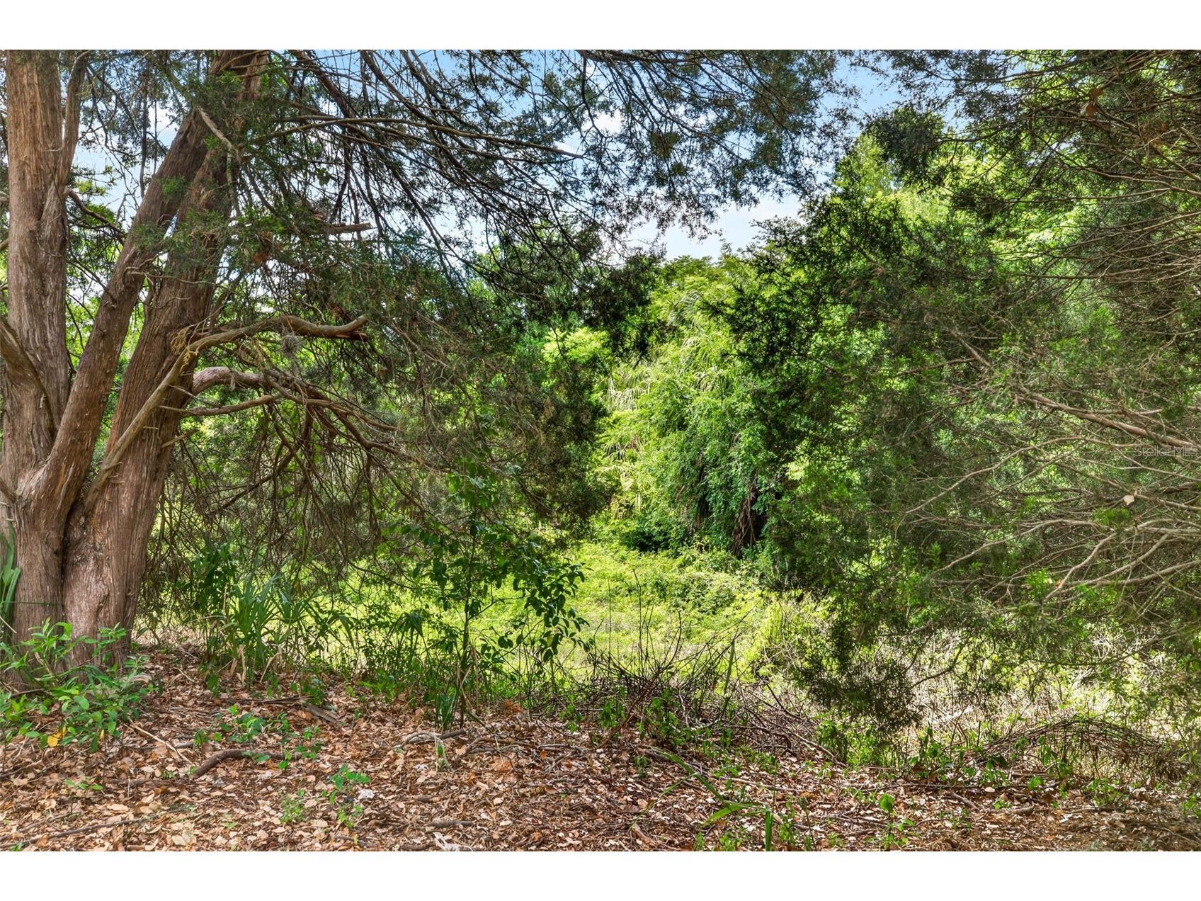 13205 Wagner Drive Hudson FL 34667 TB8504286 image32