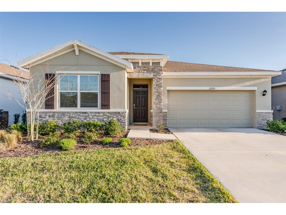 13205 Waterleaf Garden Circle Riverview FL 33579 T3426143 image1