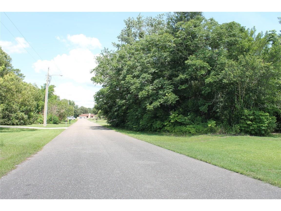 13206 Amber Woods Street Spring Hill FL 34609 W7846451 image1