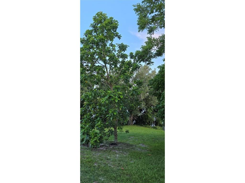 13206 SW 144th Parkway Okeechobee FL 34974 OK225349 image49