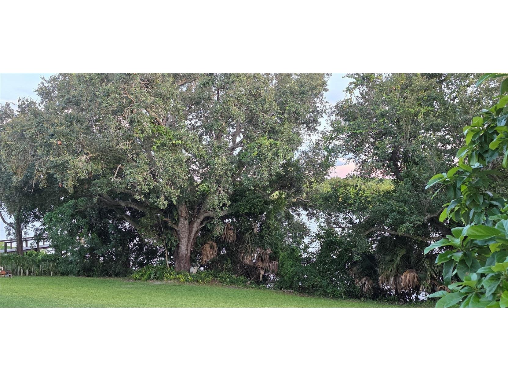 13206 SW 144th Parkway Okeechobee FL 34974 OK225349 image50