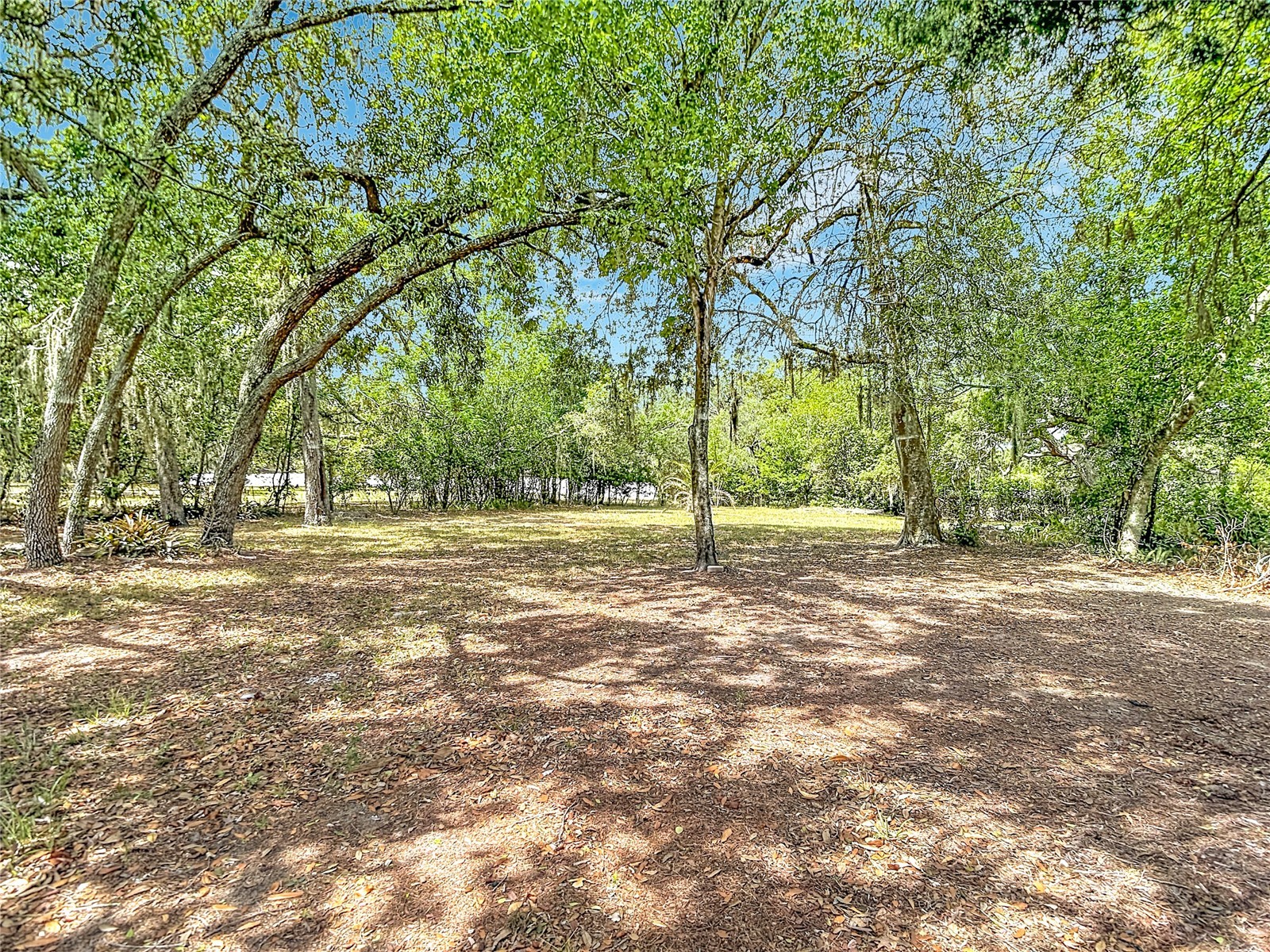 13206 Tyrone Street Hudson FL 34667 O6408410 image48