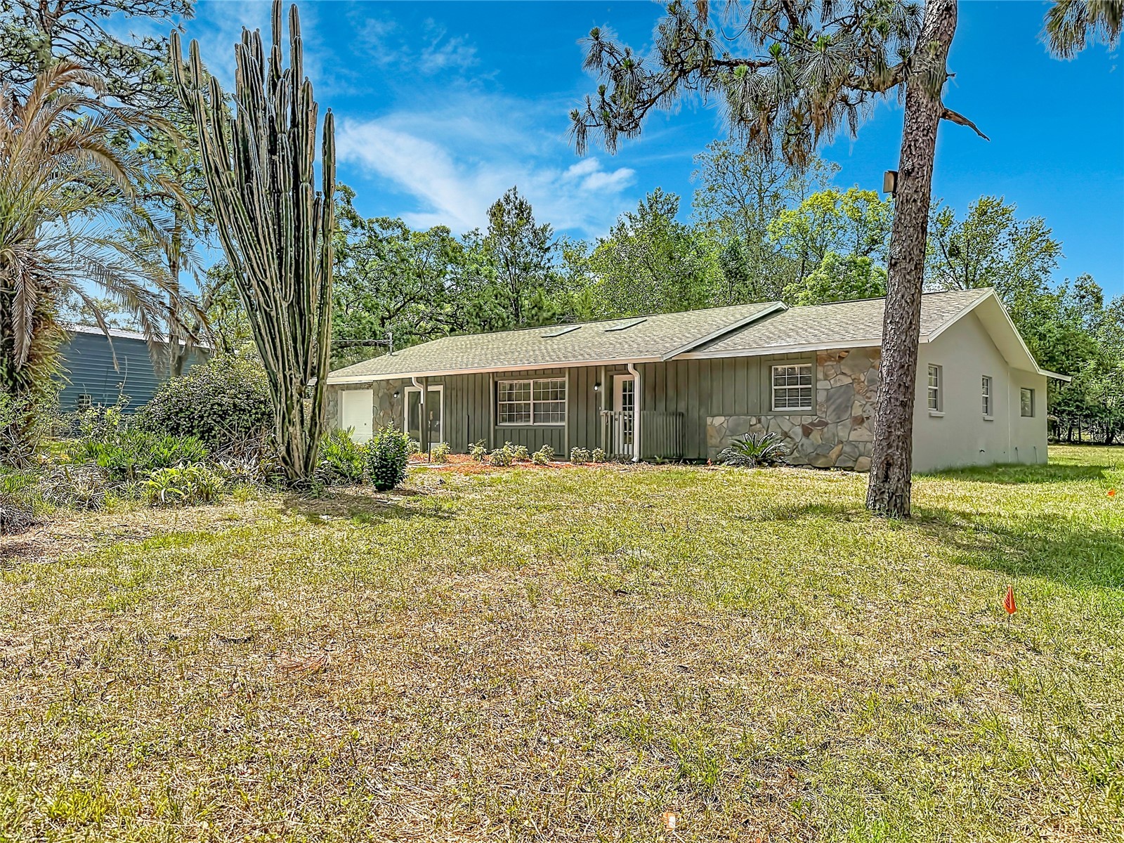 13206 Tyrone Street Hudson FL 34667 O6408410 image5