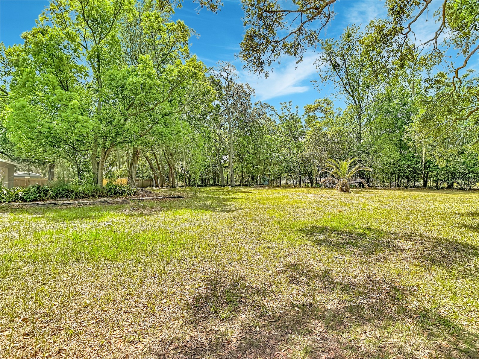 13206 Tyrone Street Hudson FL 34667 O6408410 image52