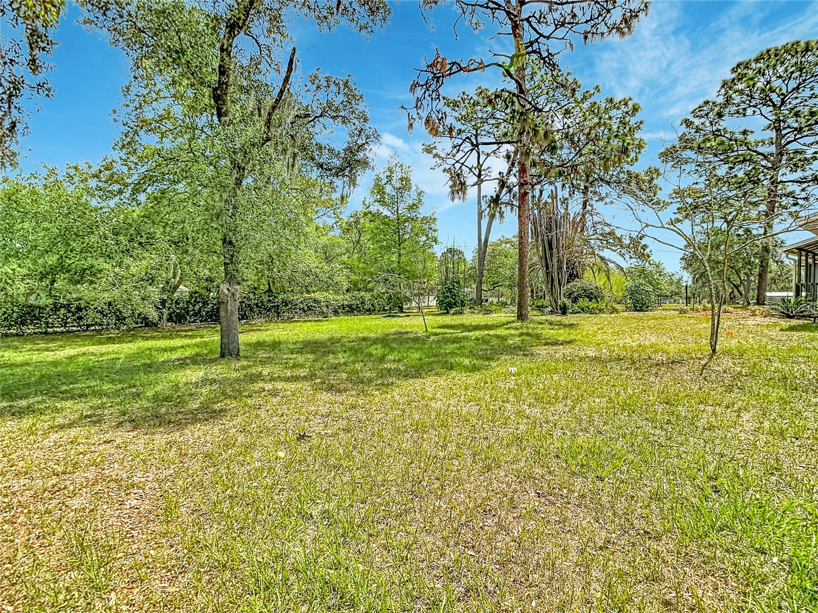 13206 Tyrone Street Hudson FL 34667 O6408410 image53