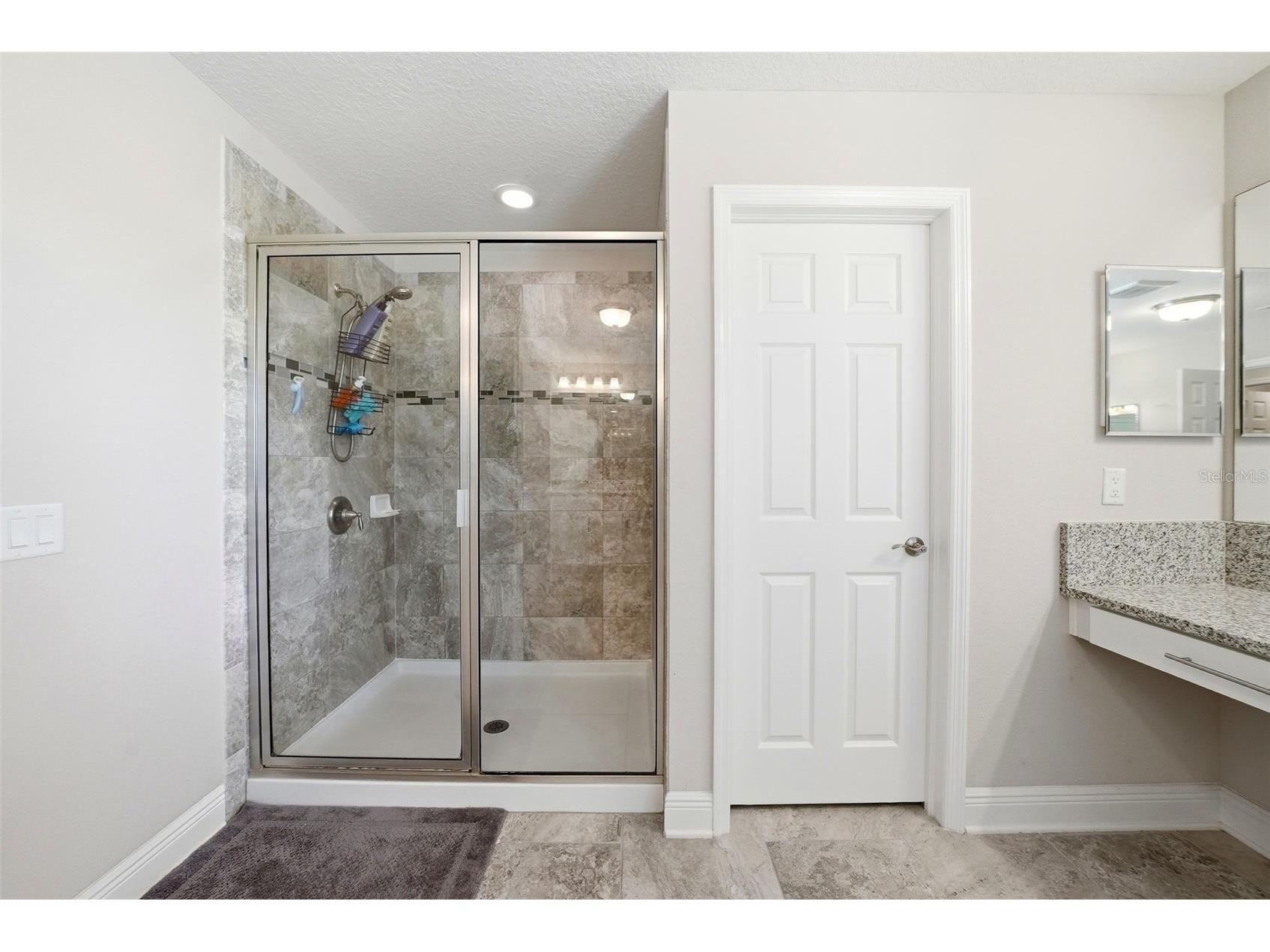 13207 Sunset Shore Circle Riverview FL 33579 TB8485966 image48