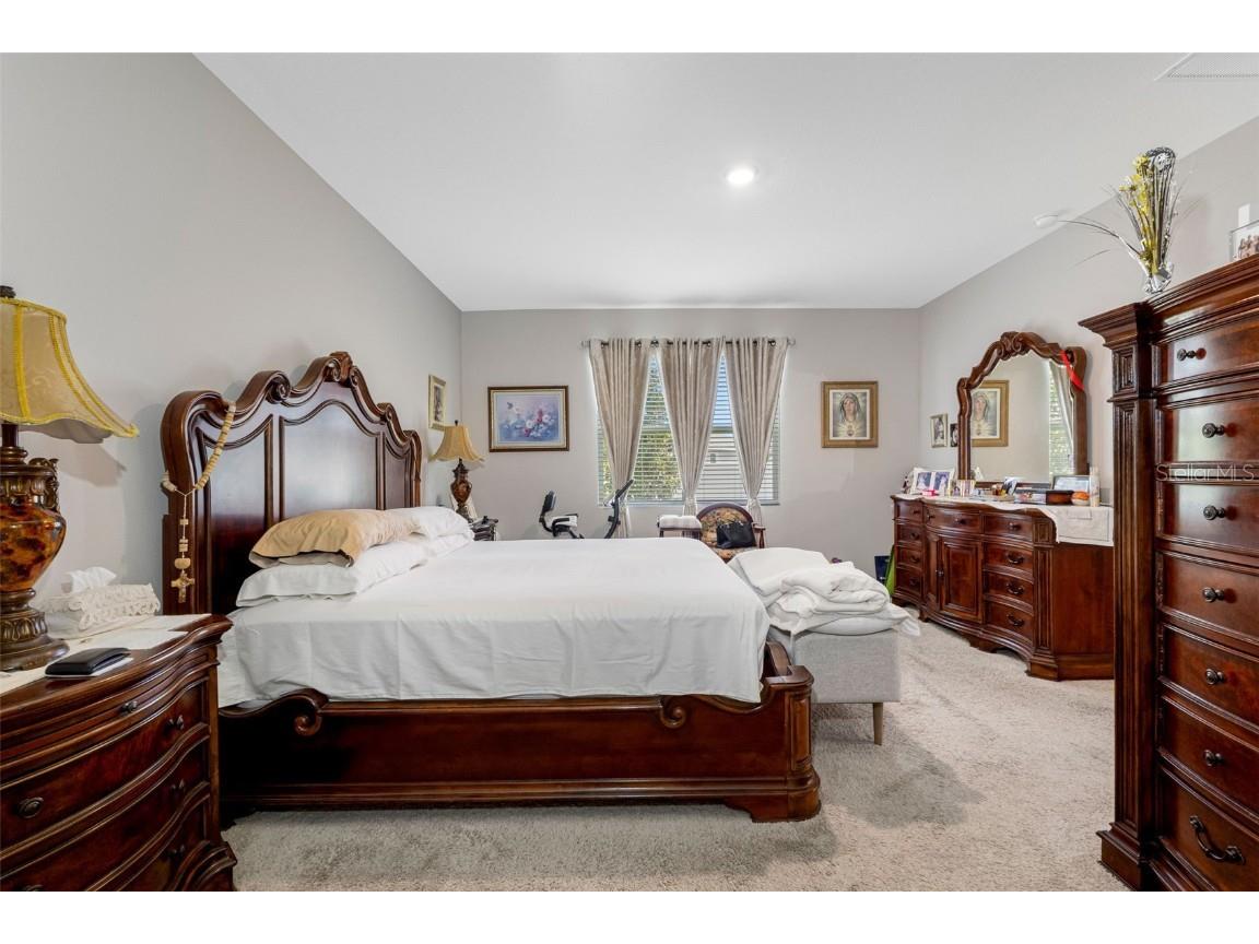 13207 Waterleaf Garden Circle Riverview FL 33579 TB8428143 image24