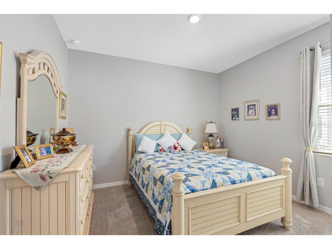 13207 Waterleaf Garden Circle Riverview FL 33579 TB8428143 image34