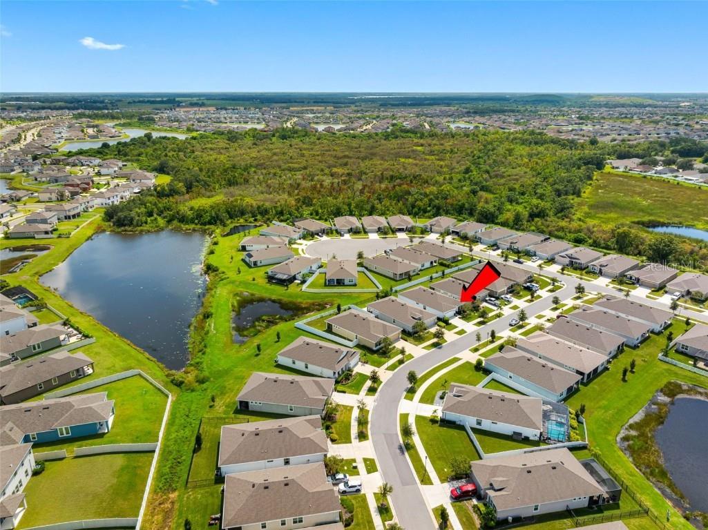 13207 Waterleaf Garden Circle Riverview FL 33579 TB8428143 image46