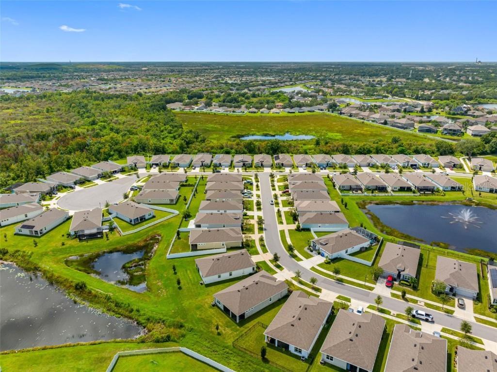 13207 Waterleaf Garden Circle Riverview FL 33579 TB8428143 image56