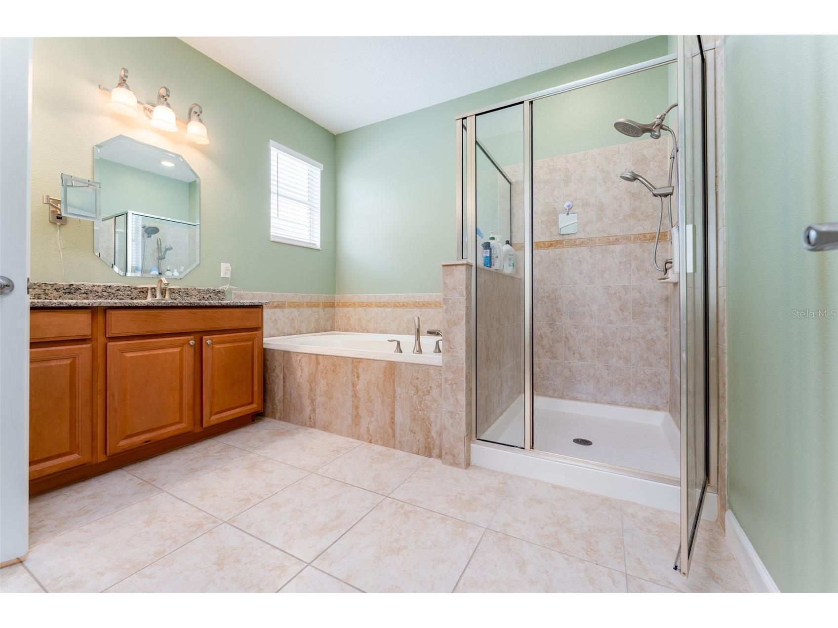 13208 Graham Yarden Drive Riverview FL 33579 TB8515699 image18