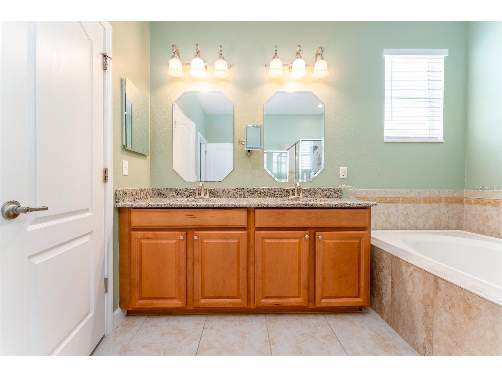 13208 Graham Yarden Drive Riverview FL 33579 TB8515699 image19