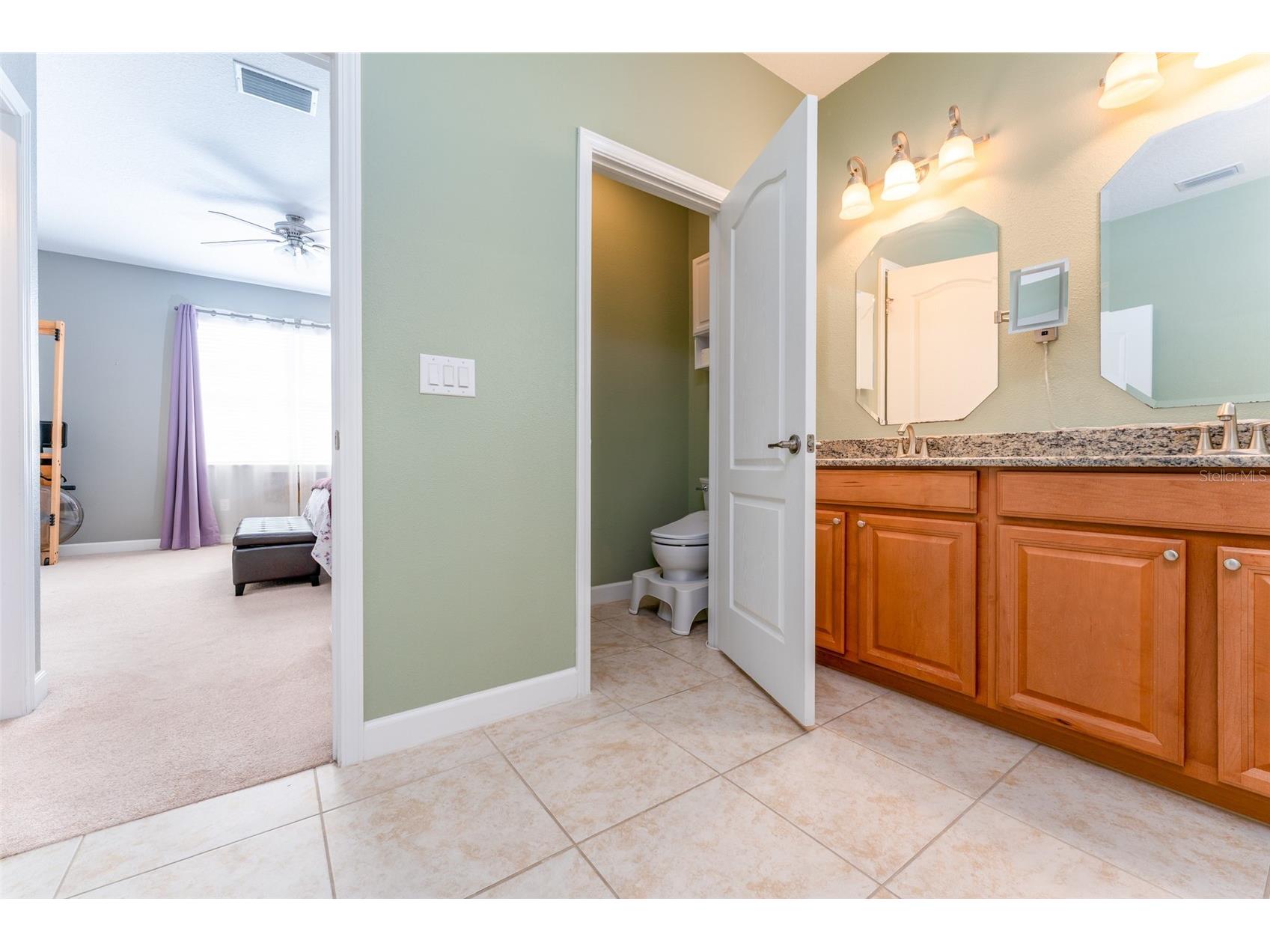 13208 Graham Yarden Drive Riverview FL 33579 TB8515699 image20