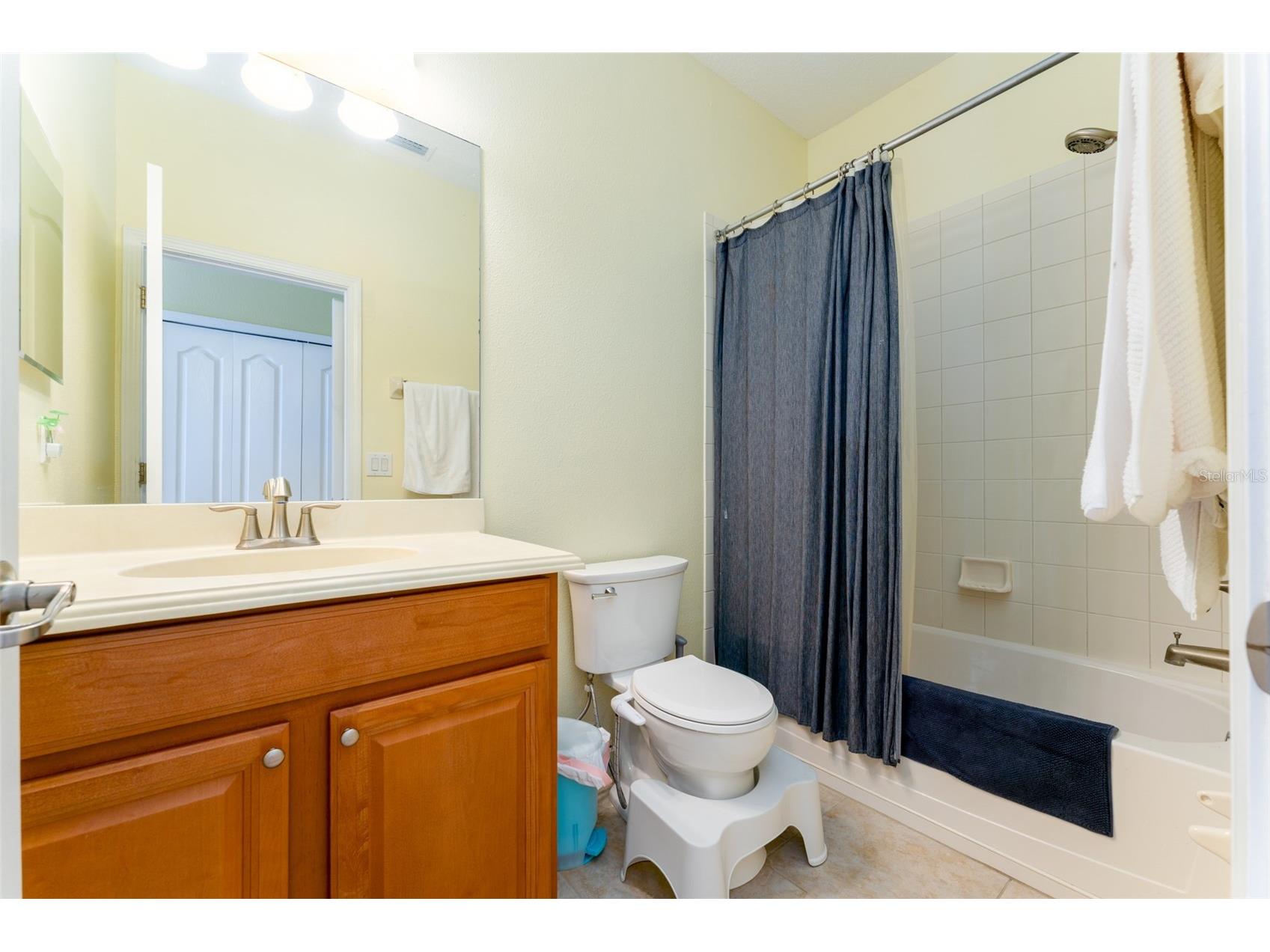13208 Graham Yarden Drive Riverview FL 33579 TB8515699 image26
