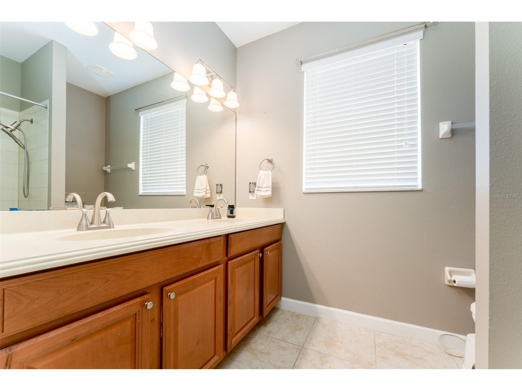 13208 Graham Yarden Drive Riverview FL 33579 TB8515699 image29