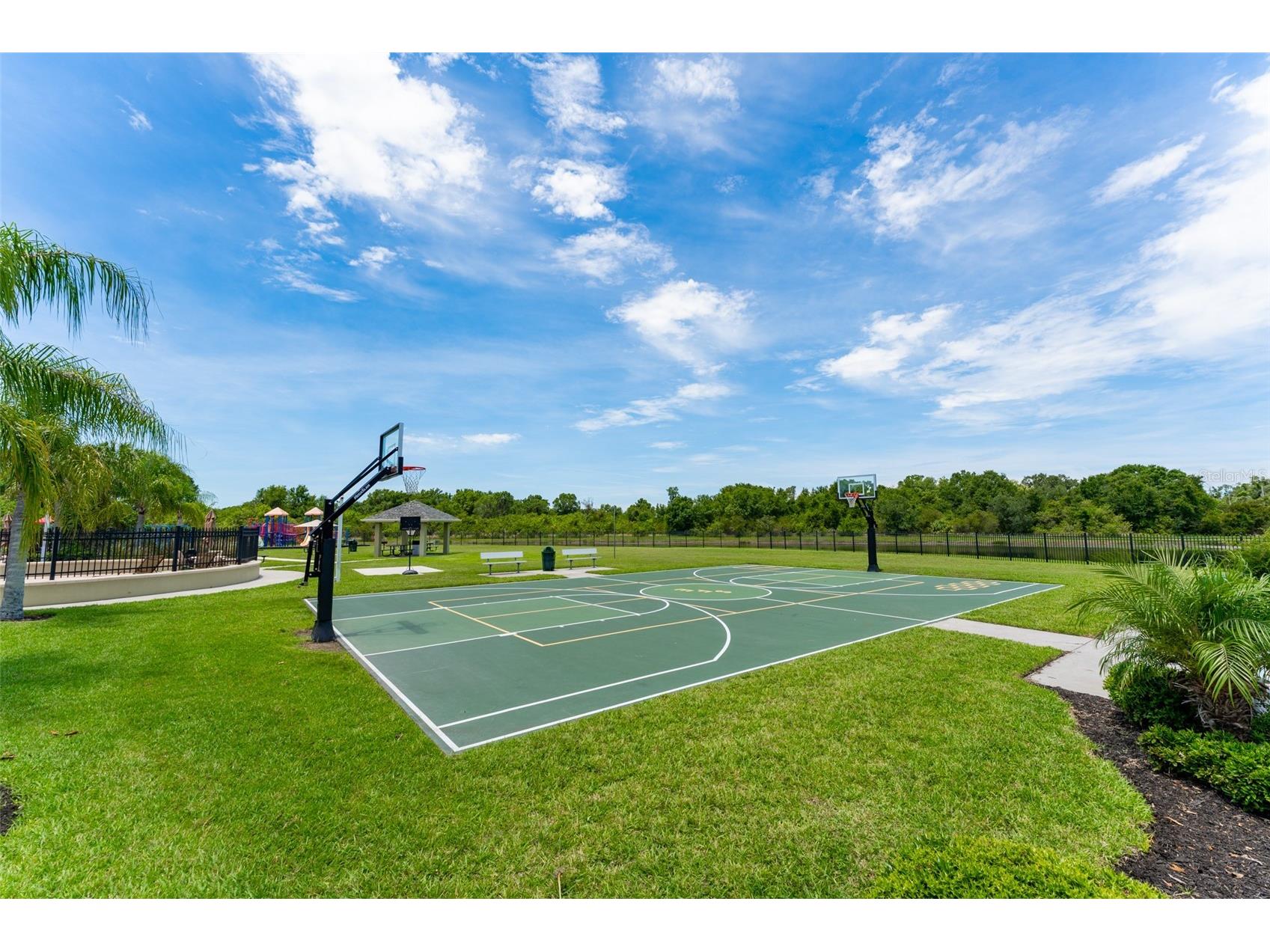 13208 Graham Yarden Drive Riverview FL 33579 TB8515699 image41